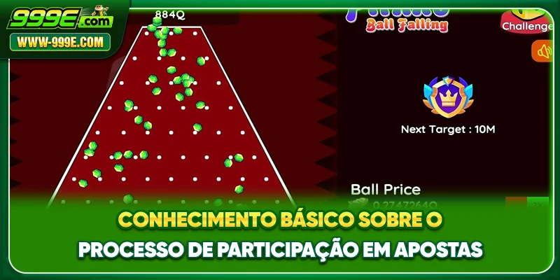 Conhecimento básico sobre o processo de participação em apostas