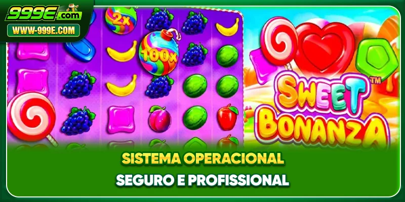 Sistema operacional seguro e profissional